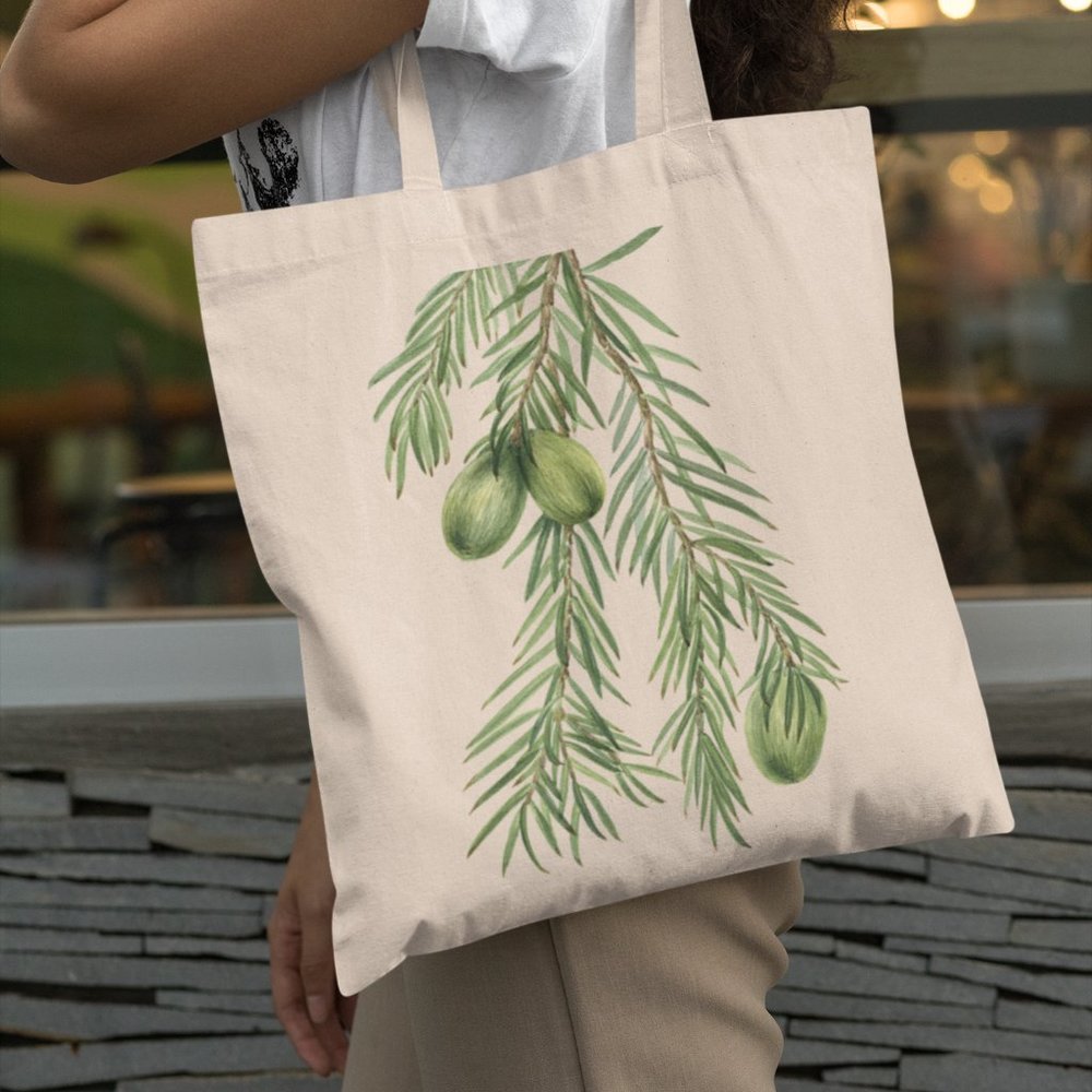 California Nutmeg Tree VTG Watercolor Botanical Print Graphic Canvas Tote Bag
